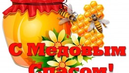 Прямая трансляция «Медовое ассорти»
