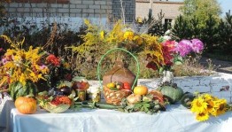 Конкурсно-игровая «Осенние забавы».