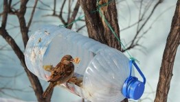 Мастер-класс «Кормушки для птиц»