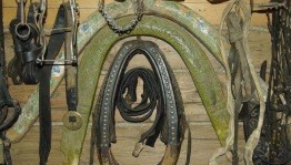 Наследие Башкирские традиции