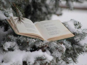 Книжный обзор «В Новый год с новой книгой»