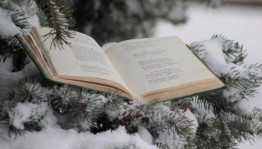 Книжный обзор «В Новый год с новой книгой»