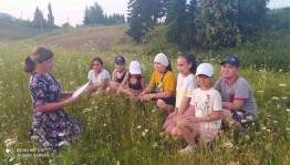 Экологическая экскурсия «Живая аптека»