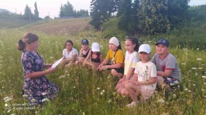 Экологическая экскурсия «Живая аптека»