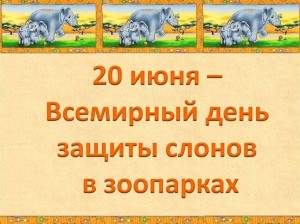 Викторина « Слоны - огромные, большие...»