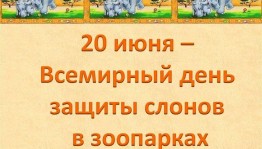 Викторина « Слоны - огромные, большие...»