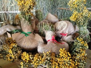 Ярмарка «Целебные травы»