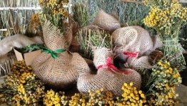 Ярмарка «Целебные травы»