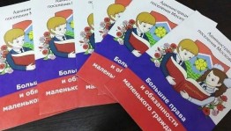 Игровая программа посвященная Дню Российской Конституции«Большие права маленького гражданина»