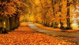 «Золотая осень» конкурсно-игровая программа