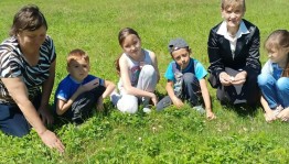 Познавательная программа «Путешествие в зеленую аптеку»