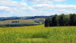 «Хочу дружить с природой»