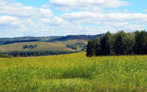 «Хочу дружить с природой»