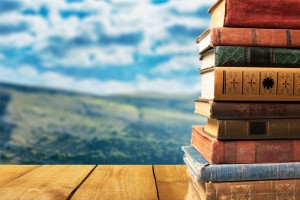 Игровая программа «Лето книжных открытий»