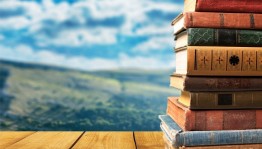 Игровая программа «Лето книжных открытий»