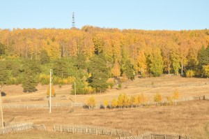 Фотоконкурс «Как ты прекрасна осенняя пора»
