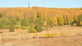 Фотоконкурс «Как ты прекрасна осенняя пора»