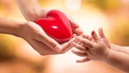 «Мамины руки»