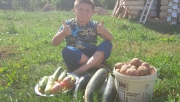 Конкурс «Урожай мой урожай!»