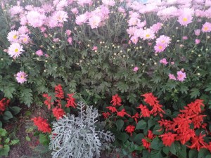 «Осенний букет» мастер класс