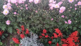 «Осенний букет» мастер класс