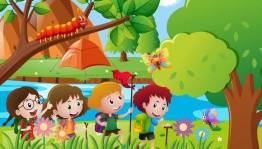 «Лес полный чудес»