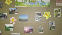 Фотоконкурс «Родная природа»