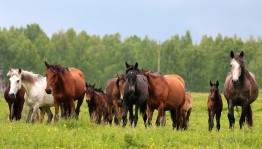 Продолжается прием заявок на  Республиканский фотоконкурс «Башкортостан. Природа. Человек. Культура»