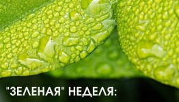В историческом парке «Россия – Моя история» стартует «Зеленая неделя»