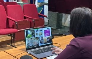 Опыт Башкортостана в инклюзивной культуре представлен на международной арене