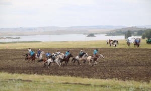 Завершился первый день фестиваля лошадей башкирской породы “Башҡорт аты”