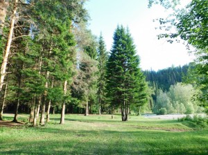 Башкортостан вошёл в число финалистов федерального конкурса на создание туристско-рекреационных кластеров и развитие экотуризма
