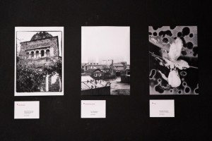 Художник Катрин Эдельвак представляет Уфу на выставке в Санкт-Петербурге