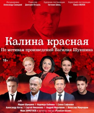 В Уфе пройдёт единственный показ спектакля "Калина красная" по мотивам произведения Шукшина