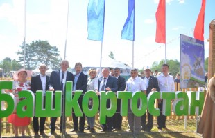 Сабантуй в Ленинградской области посетило около 100 тысяч человек