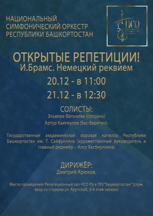Уфимцев приглашают на открытые репетиции Национального симфонического оркестра республики