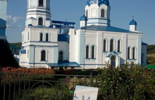 В Фёдоровском районе проходит I Республиканский пленэр