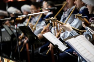 РУМЦ Минкультуры РБ проводит обучение для преподавателей инструментов народного оркестра
