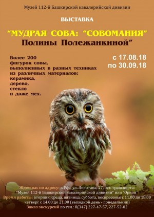 Музей 112-й Башкирской кавалерийской дивизии приглашает на выставку «Мудрая птица: «совомания» Полины Полежанкиной»