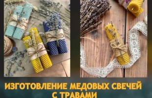Учреждения культуры Республики Башкортостан приглашают отметить День знаний вместе