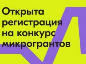 Росмолодёжь запустила новый конкурс микрогрантов