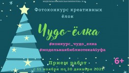 В Башкортостане проходит фотоконкурс «Чудо-ёлка»