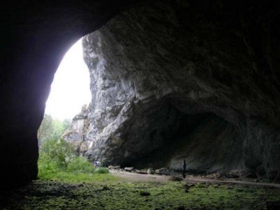 Курсовая работа по теме Пещера Шульган–Таш (Капова)