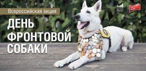 Музей Боевой Славы приглашает на лекцию «Псы-герои: как собаки помогали солдатам на Великой Отечественной войне»