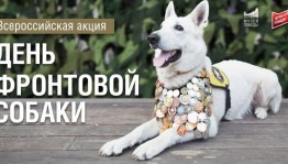 Музей Боевой Славы приглашает на лекцию «Псы-герои: как собаки помогали солдатам на Великой Отечественной войне»