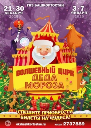 Новогодние представления «Волшебный цирк деда Мороза»