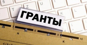 Принимаются заявки на второй конкурс 2020 года среди НКО, участвующих в развитии институтов гражданского общества