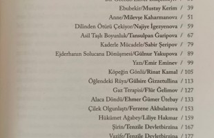 В Турции вышел в свет сборник переводов башкирской прозы