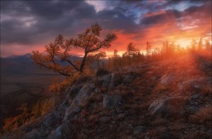 Лучшие снимки фотоконкура «Самая красивая страна» на портале Культура.РФ