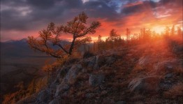 Лучшие снимки фотоконкура «Самая красивая страна» на портале Культура.РФ